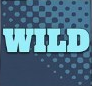 Дикарь слота - надпись Wild